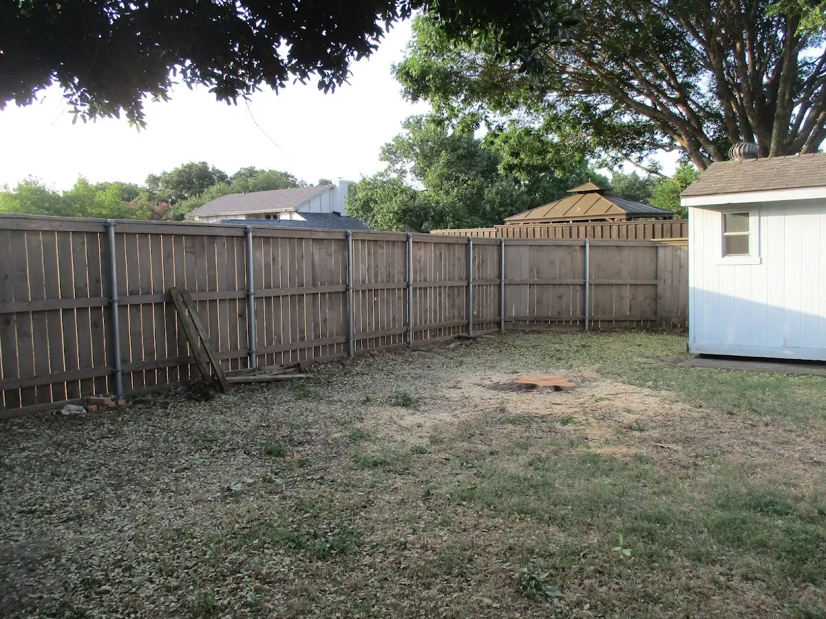 Cleared yard after professional tree removal in Laconia